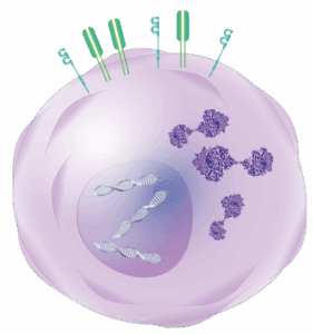 DCx Bio | Developing Next Generation Precision Drug Conjugates